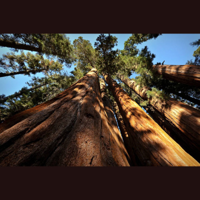 Kqeds The California Report