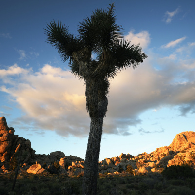 Kqeds The California Report