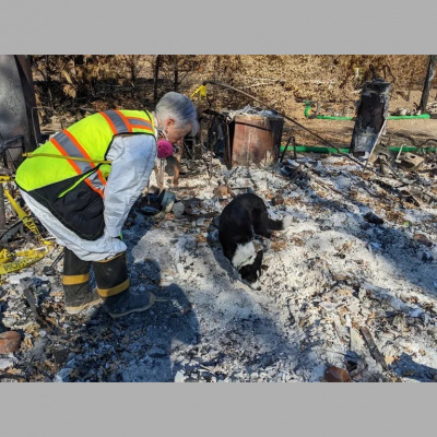 Kqeds The California Report