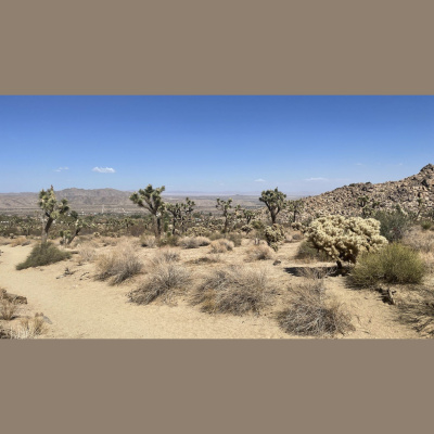 Kqeds The California Report