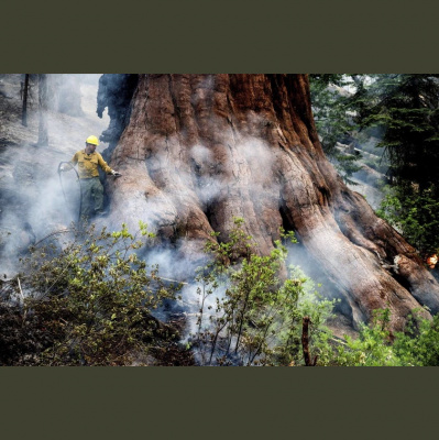 Kqeds The California Report