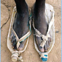 Gratitude Should Move Us