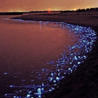 The Soul-Work of Creativity - Part 1