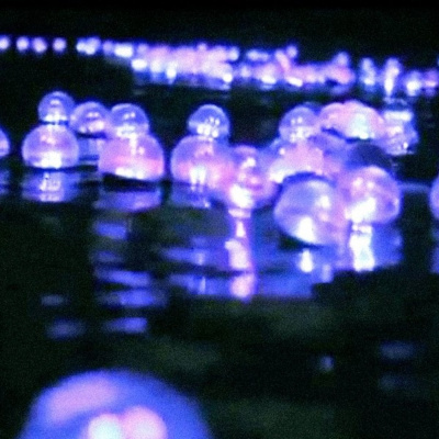 Jeremiah Griffins Tracks