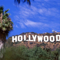 The Business of Film Part Five : Film Festivals/Film Distribution