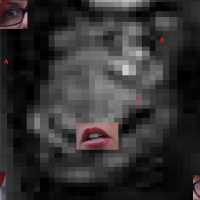 Mr Dragonbeard 135 Dumbed Down Atheist Apoc-ast