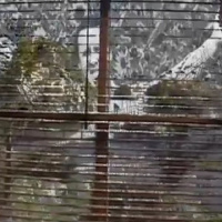 Rain Dance 104 Dumbed Down Atheist