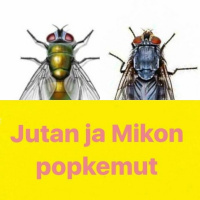 Jumikemut vol. 49: 1986/Kärpänen