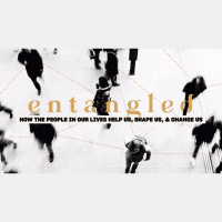 Entangled: Dont Give Up