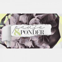 Havilah Cunnington- Sunday Morning