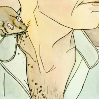 Tocht | Hans Bogaert