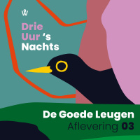 Aflevering 03 - Getuigen