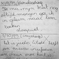 Slaapwel Dagboek | Lize Spit