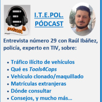 Entrevista número 29 con Raúl Ibáñez, policía, experto en TIV.