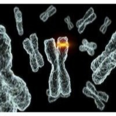 Fibrosis Quística Y Fertilidad