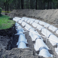 The Poop Trench Returns!