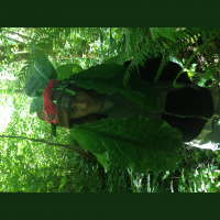 Yakkin With Nick Ep.38 2017 Review/2018 Hopes