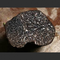 Yakkin With Nick Ep.36 Oregon Truffles