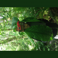 Yakkin With Nick Ep.45 Appreciating Life