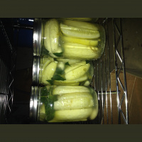 YWN Ep.50 Catching Up With Nick