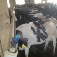 Heat Stress  Facilities: Part 4 Cooling Strategies