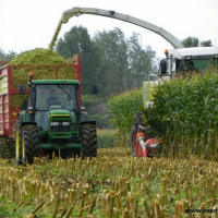 Corn Silage: Part 1 Predicting Harvest and Moisture Level