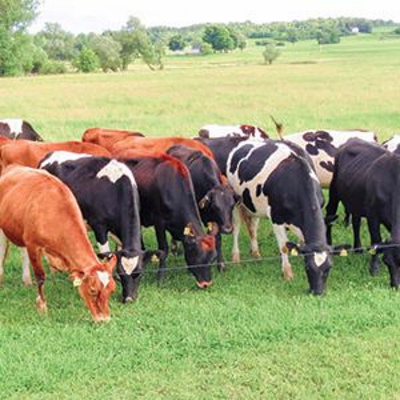 Uw-extension Ag  Natural Resources Podcasts