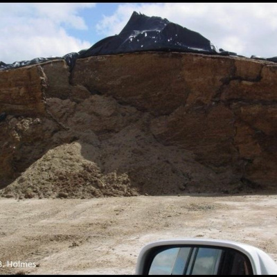 Uw-extension Ag  Natural Resources Podcasts