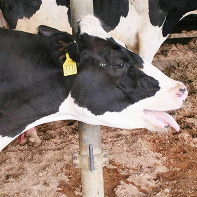 Uw-extension Ag  Natural Resources Podcasts