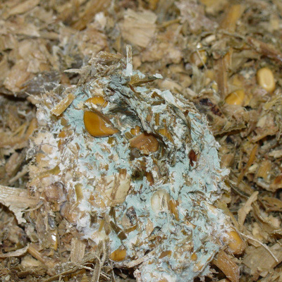 Uw-extension Ag  Natural Resources Podcasts