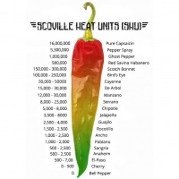 93: The dangers of eating Ghost Peppers - #LTT Listen To This with Cliff  Sharon