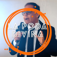 LA PODA DIVINA