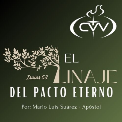 Mario Luis Suárez (apóstol)