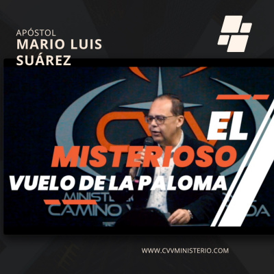 Mario Luis Suárez (apóstol)