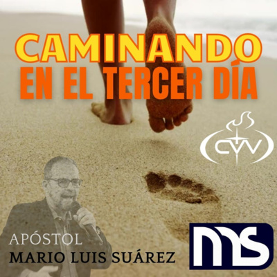 Mario Luis Suárez (apóstol)