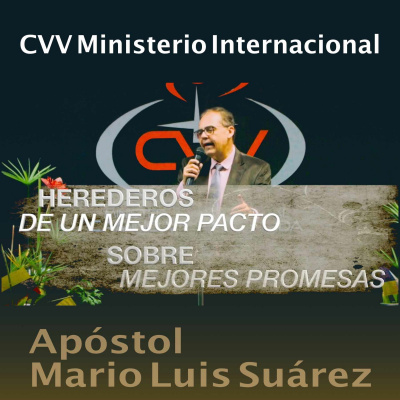 Mario Luis Suárez (apóstol)