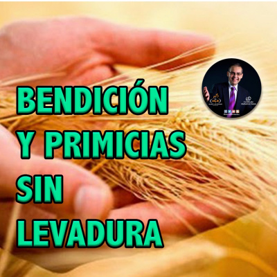 Mario Luis Suárez (apóstol)