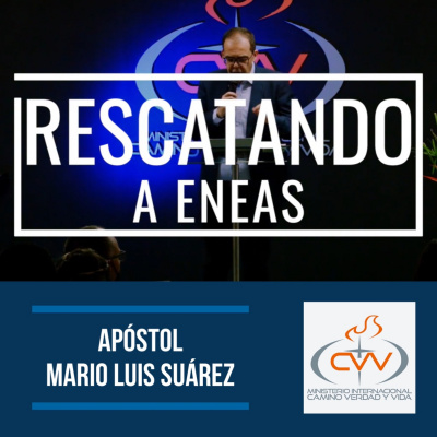 Mario Luis Suárez (apóstol)