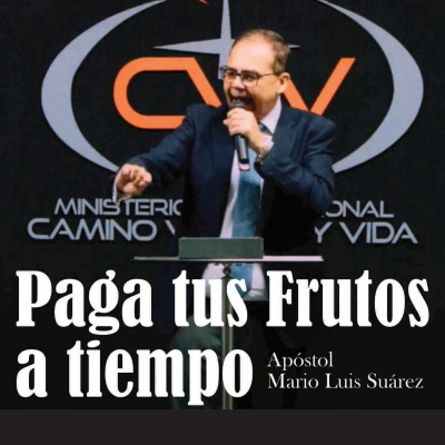 Mario Luis Suárez (apóstol)