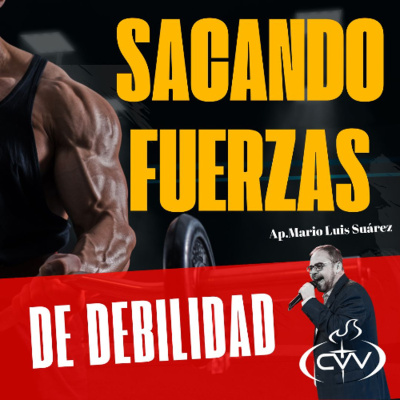 Mario Luis Suárez (apóstol)