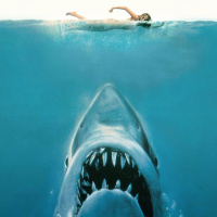 285. Jaws