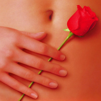 512. American Beauty