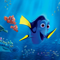 153. Finding Dory