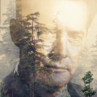 228. Twin Peaks Finale