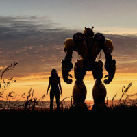 309. Bumblebee