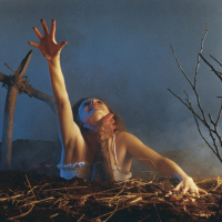 293. Evil Dead