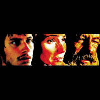 395. Amores Perros