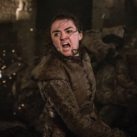 333. Game of Thrones 8-3 The Long Night