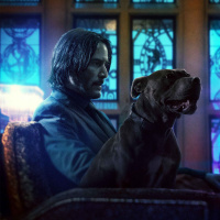340. John Wick: Chapter 3 - Parabellum 