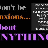 God Provides (Torah #8)